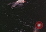 Standbild Sommerpalast Peking Peking China, 1958, aus Sekunde 3 historischem Filmmaterial Videoclip 65675079768