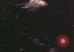 Standbild Sommerpalast Peking Peking China, 1958, aus Sekunde 4 historischem Filmmaterial Videoclip 65675079768