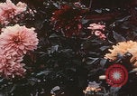 Standbild Sommerpalast Peking Peking China, 1958, aus Sekunde 10 historischem Filmmaterial Videoclip 65675079768