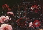 Standbild Sommerpalast Peking Peking China, 1958, aus Sekunde 12 historischem Filmmaterial Videoclip 65675079768