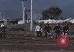 Image of commune farmers China Beijing China, 1958, second 6 stock footage video 65675079770