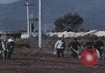 Image of commune farmers China Beijing China, 1958, second 8 stock footage video 65675079770