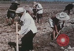 Image of commune farmers China Beijing China, 1958, second 21 stock footage video 65675079770