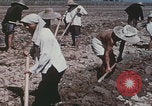 Image of commune farmers China Beijing China, 1958, second 22 stock footage video 65675079770
