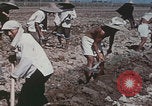 Image of commune farmers China Beijing China, 1958, second 23 stock footage video 65675079770
