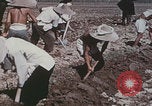 Image of commune farmers China Beijing China, 1958, second 24 stock footage video 65675079770