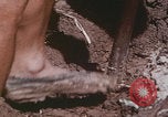 Image of commune farmers China Beijing China, 1958, second 27 stock footage video 65675079770