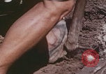 Image of commune farmers China Beijing China, 1958, second 30 stock footage video 65675079770