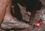 Image of commune farmers China Beijing China, 1958, second 31 stock footage video 65675079770