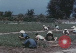 Image of commune farmers China Beijing China, 1958, second 54 stock footage video 65675079770