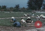 Image of commune farmers China Beijing China, 1958, second 56 stock footage video 65675079770