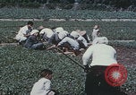 Image of commune farmers China Beijing China, 1958, second 58 stock footage video 65675079770