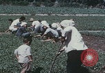Image of commune farmers China Beijing China, 1958, second 59 stock footage video 65675079770