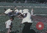 Image of commune farmers China Beijing China, 1958, second 60 stock footage video 65675079770