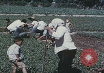 Image of commune farmers China Beijing China, 1958, second 62 stock footage video 65675079770