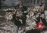 Image of Chinese harvesting crops Beijing China, 1958, second 11 stock footage video 65675079771