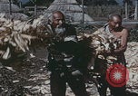 Image of Chinese harvesting crops Beijing China, 1958, second 15 stock footage video 65675079771