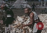 Image of Chinese harvesting crops Beijing China, 1958, second 18 stock footage video 65675079771