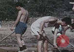Image of Chinese harvesting crops Beijing China, 1958, second 31 stock footage video 65675079771