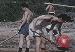 Image of Chinese harvesting crops Beijing China, 1958, second 32 stock footage video 65675079771