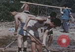 Image of Chinese harvesting crops Beijing China, 1958, second 33 stock footage video 65675079771