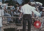 Image of Chinese harvesting crops Beijing China, 1958, second 37 stock footage video 65675079771