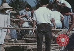 Image of Chinese harvesting crops Beijing China, 1958, second 38 stock footage video 65675079771