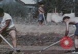 Image of Chinese harvesting crops Beijing China, 1958, second 45 stock footage video 65675079771