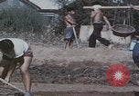 Image of Chinese harvesting crops Beijing China, 1958, second 48 stock footage video 65675079771