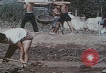 Image of Chinese harvesting crops Beijing China, 1958, second 49 stock footage video 65675079771