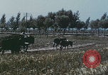 Image of Chinese harvesting crops Beijing China, 1958, second 54 stock footage video 65675079771