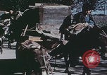 Image of Chinese harvesting crops Beijing China, 1958, second 61 stock footage video 65675079771