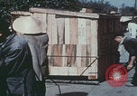 Image of Shenyang China factory Shenyang China, 1958, second 47 stock footage video 65675079773