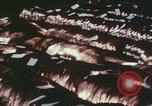 Image of Shenyang China cable factory Shenyang China, 1958, second 8 stock footage video 65675079774