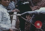Image of Shenyang China commune workers Shenyang China, 1958, second 19 stock footage video 65675079775