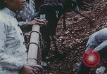 Image of Shenyang China commune workers Shenyang China, 1958, second 22 stock footage video 65675079775