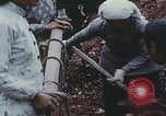 Image of Shenyang China commune workers Shenyang China, 1958, second 23 stock footage video 65675079775