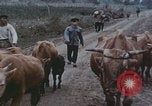 Image of Shenyang China commune workers Shenyang China, 1958, second 35 stock footage video 65675079775