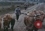 Image of Shenyang China commune workers Shenyang China, 1958, second 36 stock footage video 65675079775