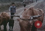 Image of Shenyang China commune workers Shenyang China, 1958, second 37 stock footage video 65675079775