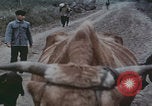 Image of Shenyang China commune workers Shenyang China, 1958, second 38 stock footage video 65675079775