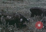 Image of Shenyang China commune workers Shenyang China, 1958, second 54 stock footage video 65675079775