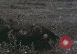 Image of Shenyang China commune workers Shenyang China, 1958, second 58 stock footage video 65675079775