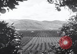 Image of topsoil erosion California United States USA, 1937, second 3 stock footage video 65675079779