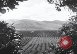 Image of topsoil erosion California United States USA, 1937, second 4 stock footage video 65675079779