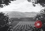 Image of topsoil erosion California United States USA, 1937, second 6 stock footage video 65675079779