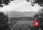 Image of topsoil erosion California United States USA, 1937, second 7 stock footage video 65675079779
