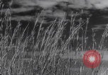 Image of topsoil erosion California United States USA, 1937, second 30 stock footage video 65675079779