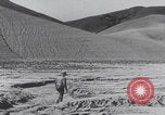 Image of topsoil erosion California United States USA, 1937, second 60 stock footage video 65675079779