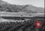 Image Terres agricoles des États-Unis United States USA, 1937, de la seconde 3 séquences d'archives historiques vidéo 65675079780